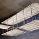 Image for article titled No, Da Vinci Wasn't The First Inventor to Dream About Human Flight